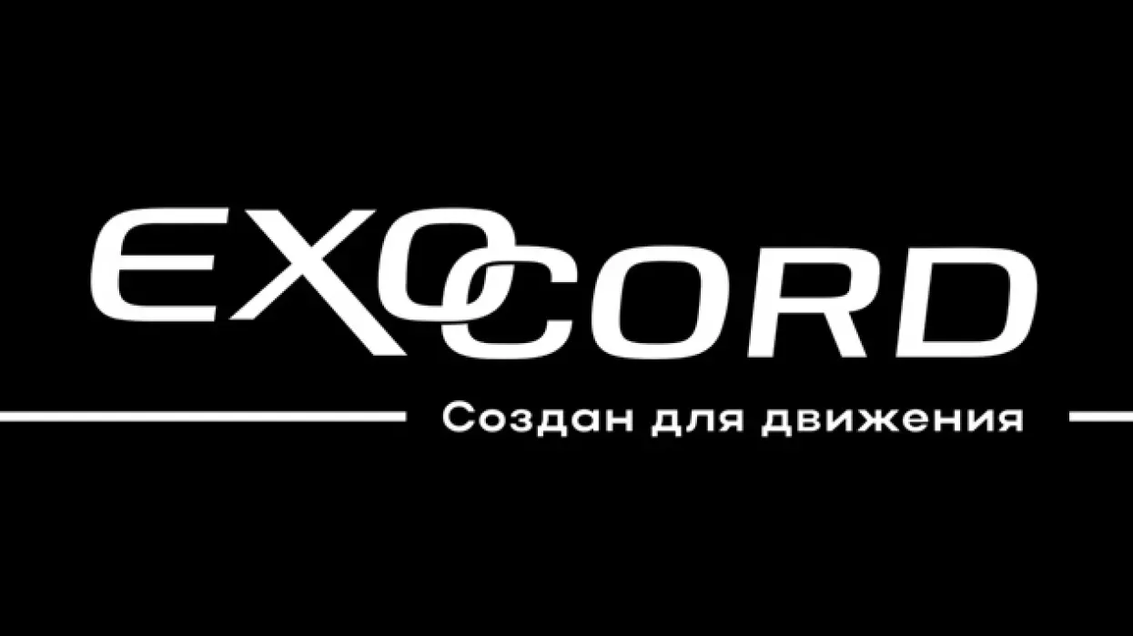 Зачем же нужен ExoCord*?